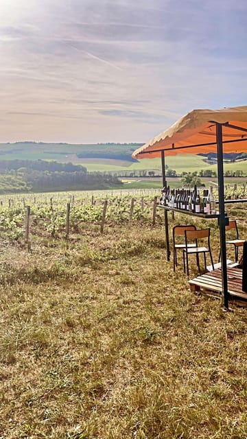 Route du Champagne: Food and wine tour - Price and Logistics: Getting the Most Out of Your Investment