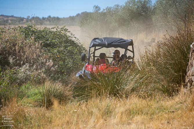 ROUTE IN BUGGY 2,00h - What You Can Expect on Your 2-Hour Ride