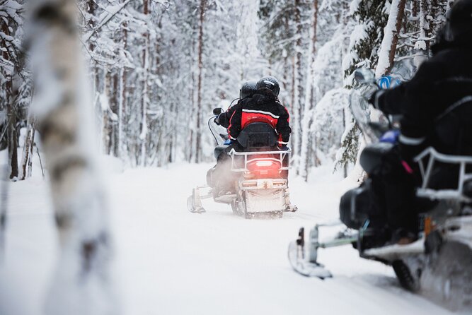 Rovaniemi 2 Days Activities Package - Husky and Reindeer Farms