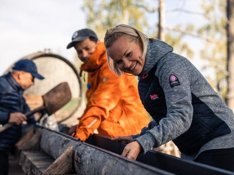 Rovaniemi: Apukka Gold Rush - Key Points / Takeaways