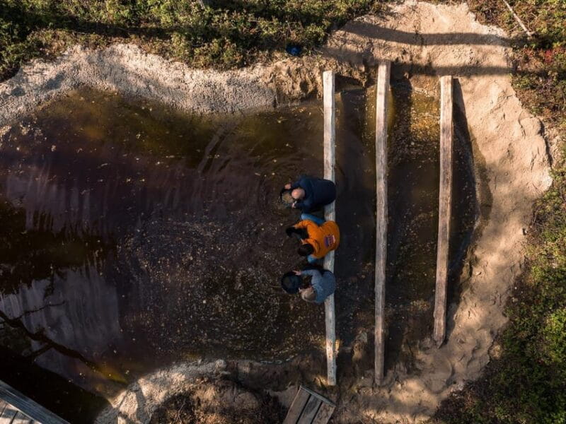 Rovaniemi: Apukka Gold Rush - Final Thoughts