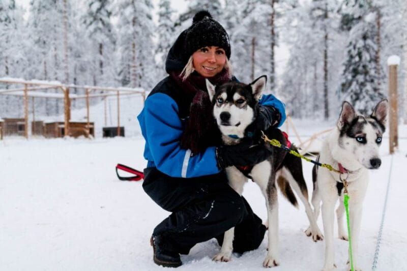 Rovaniemi: Apukka Husky Adventure - Meeting and Petting the Huskies Post-Ride