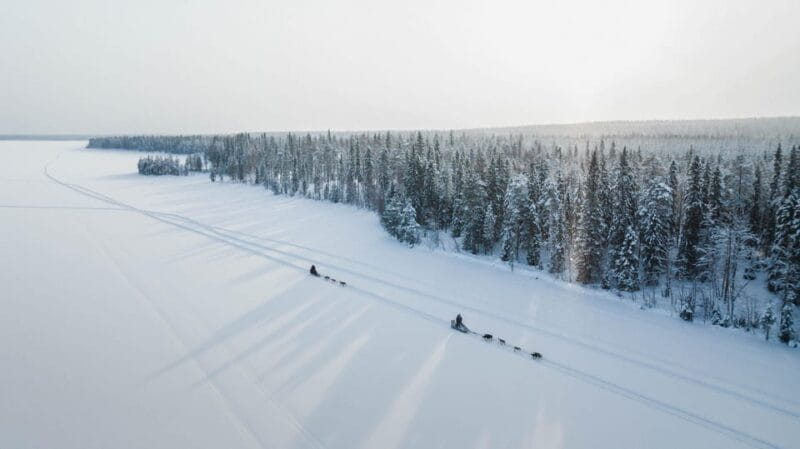 Rovaniemi: Arctic Circle Long Trail Husky Adventure - Key Points / Takeaways