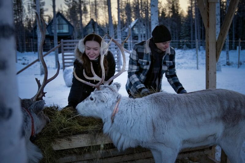 Rovaniemi: Arctic Reindeer Experience with Lunch - Learning About Reindeer and Sámi Culture