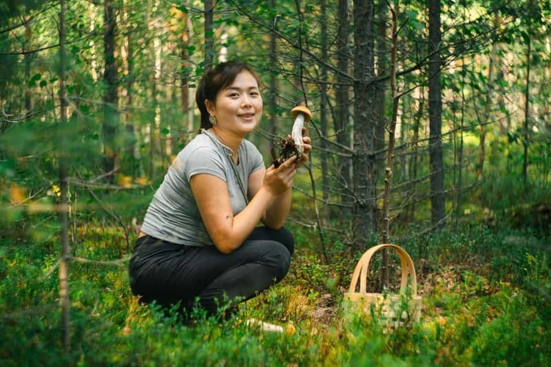 Rovaniemi: Arctic Wild Berry & Mushroom Foraging and Tasting - Exploring the Forest with Passionate Guides