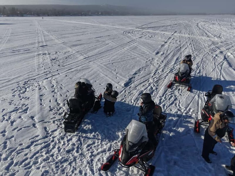 Rovaniemi: Arctic Wilderness Snowmobiling Ride - Price and Logistics: What You Need to Know
