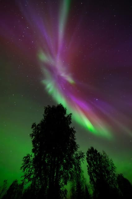 Rovaniemi: Aurora Hunt with Money-Back Guarantee and Photo - Frequently Asked Questions