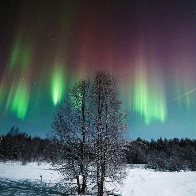 Rovaniemi: Aurora Hunt with Photos and Money Back Guarantee - Unique Aspects Highlighted by Reviews