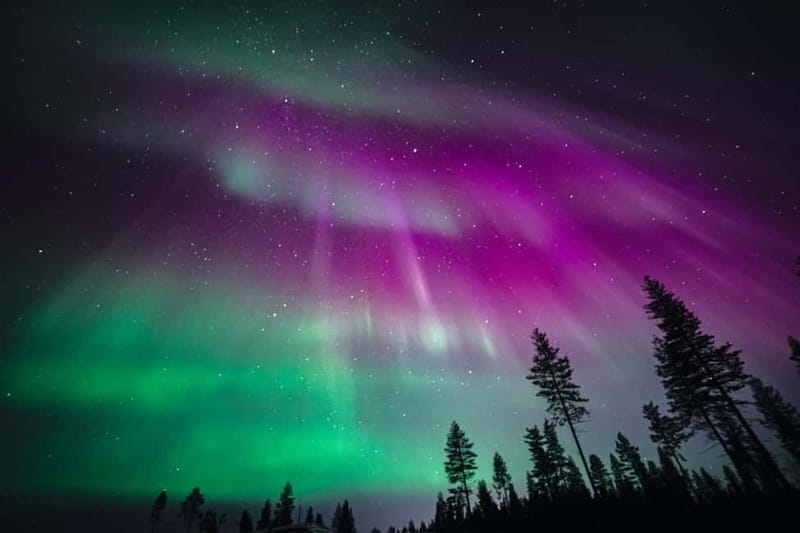 Rovaniemi: Aurora Hunting Group Tour - Guaranteed View - Price and Value: Analyzing the Cost
