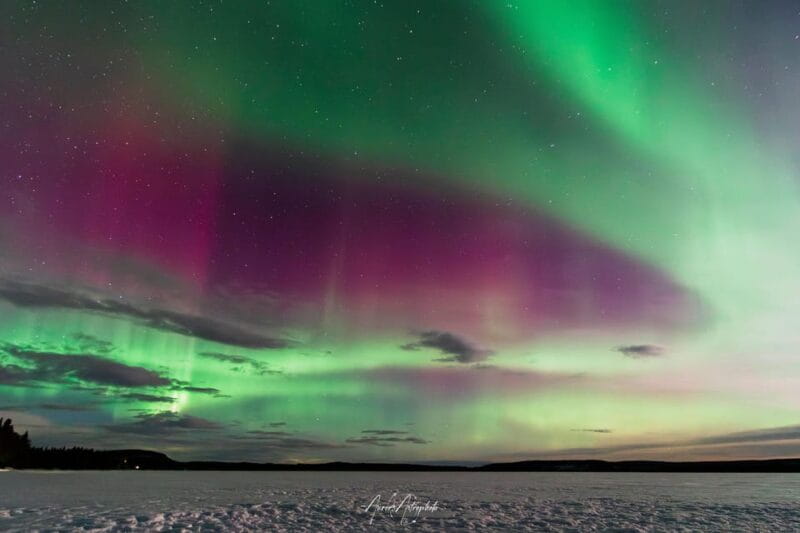 Rovaniemi: Aurora Hunting & Photography Tour - What to Expect at Each Location