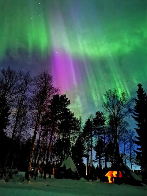 Rovaniemi: Aurora Hunting & Photography Tour - The Value of the Experience