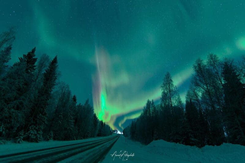Rovaniemi: Aurora Hunting & Photography Tour - The Photography Tips and Photo Service