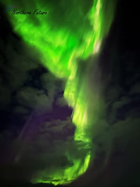 Rovaniemi: Aurora Hunting & Photography Tour - Evaluating the Cost and Overall Value