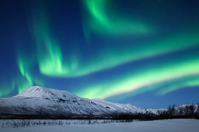 Rovaniemi Aurora Hunting Tour - Key points/Takeaways