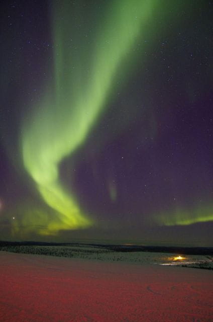 Rovaniemi: Aurora Hunting Tour with Photography by Van - Discovering Lapland’s Night Sky: What to Expect