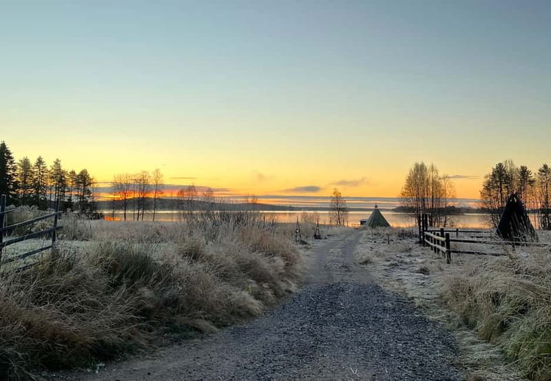 Rovaniemi: Autumn Husky Ride on Wheels - One Possible Drawback to Consider