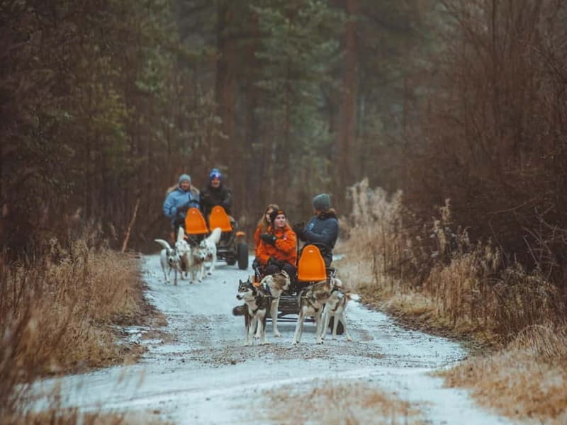 Rovaniemi: Autumn Husky Ride on Wheels - Final Thoughts: Is It Worth It?