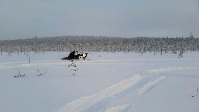 Rovaniemi: Backwoods Adventure Full Day Snowmobile Safari - Entering the Snowy Wilderness: What to Expect