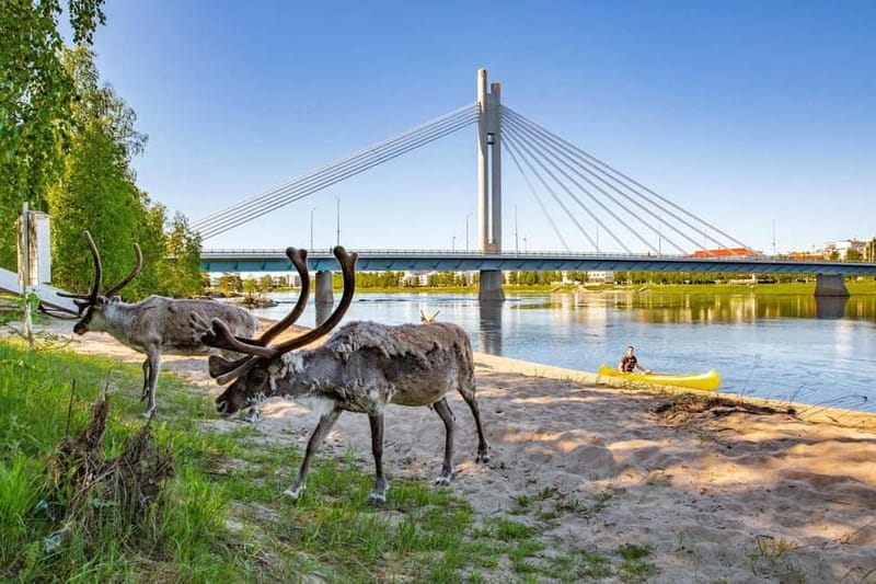 Rovaniemi: Cultural Canoe Trip - Discovering Rovaniemi from the Water: A Deep Dive