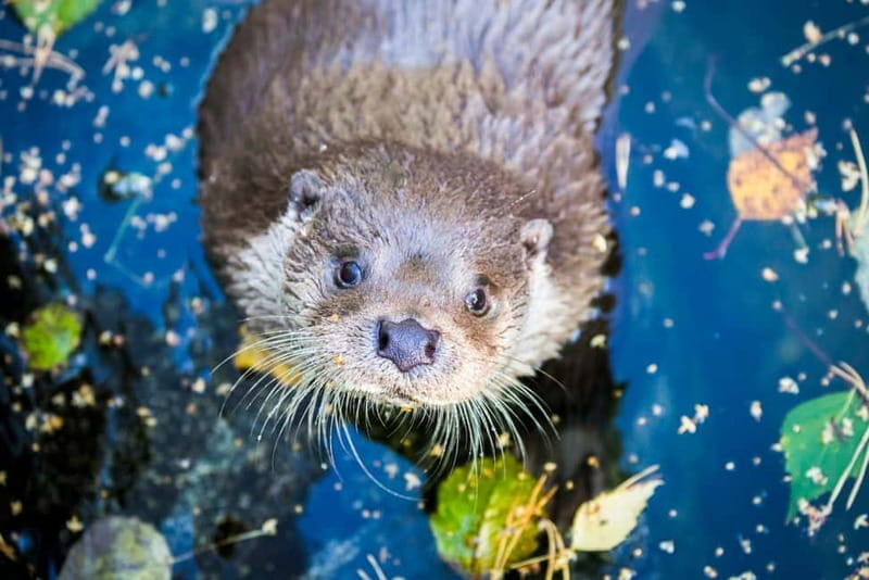 Rovaniemi: Day Trip to Ranua Wildlife Park - Key points / Takeaways