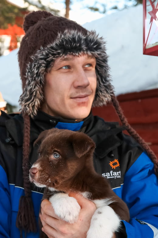 Rovaniemi: Daytime Husky Safari - Key points / Takeaways