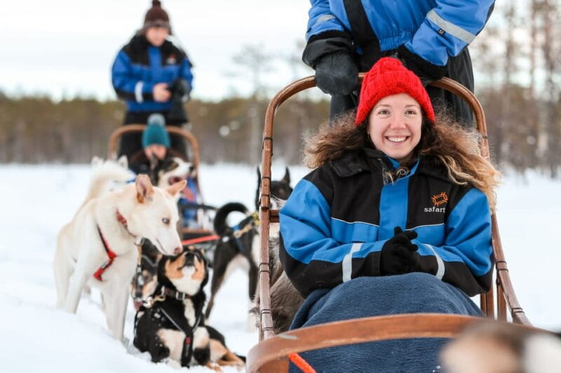 Rovaniemi: Daytime Husky Safari - The Value of the Experience