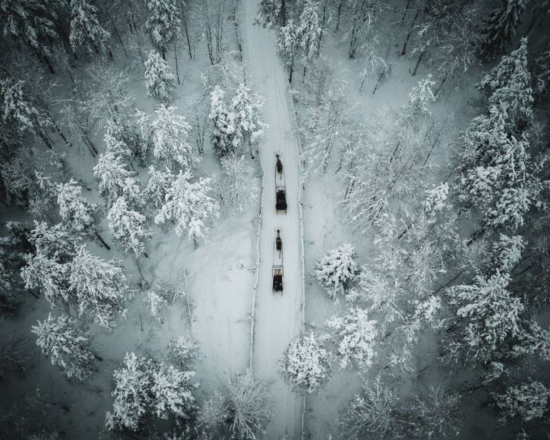 Rovaniemi: Daytime Reindeer Sleigh Ride - Rovaniemi: Daytime Reindeer Sleigh Ride — An Authentic Arctic Adventure