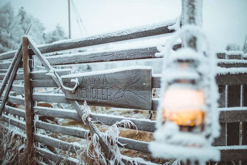 Rovaniemi: Early Winter Reindeer Sleigh Ride 1-2 km - Exploring Rovaniemi’s Reindeer Sleigh Ride: What to Expect