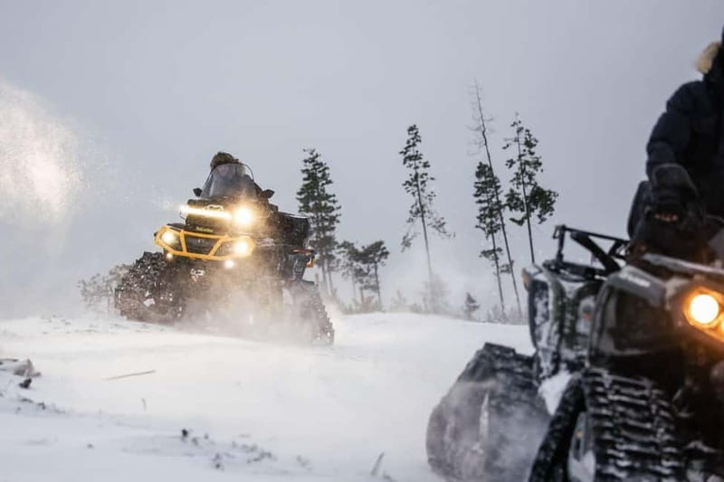 Rovaniemi Expedition "INTO THE WILD" and Glass Igloo Lunch - Key Points / Takeaways