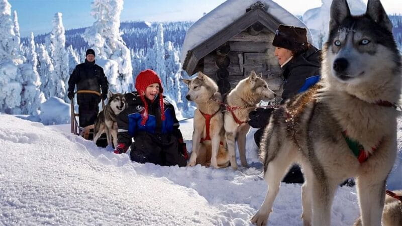 Rovaniemi: Family Friendly Husky Ride and Farm Visit - Key Points and Takeaways