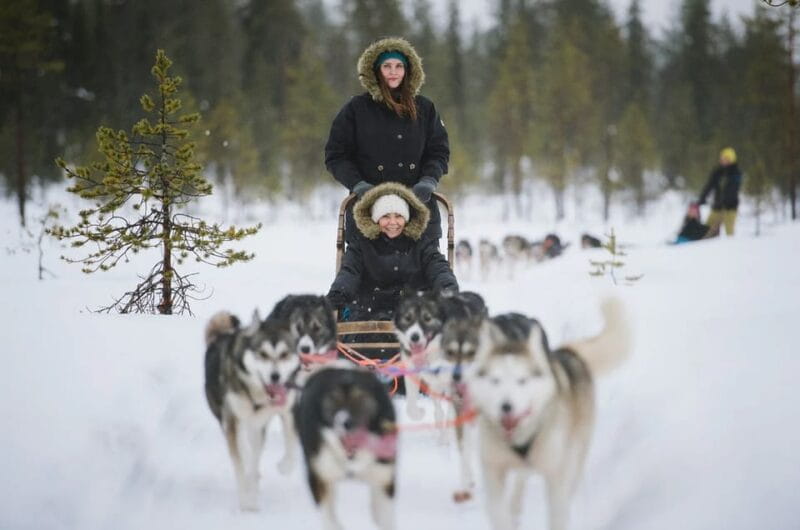 Rovaniemi: Family Friendly Husky Ride and Farm Visit - FAQ