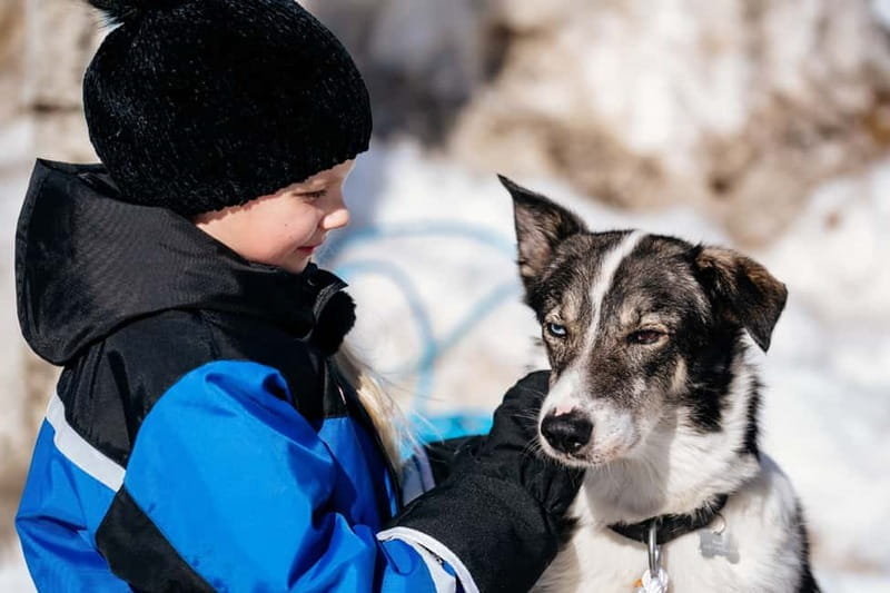 Rovaniemi: Full-Day Snow and Fun Activities - Exploring the Full-Day Snow and Fun Experience Outside Rovaniemi