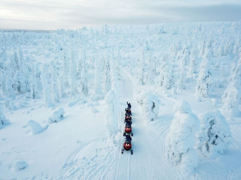 Rovaniemi: Full Day Snowmobile Safari into the Wilderness - Scenic Highlights: Forests, Lakes, and Rivers