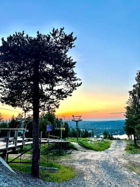 Rovaniemi: Full-Day Tour to Lapland's Best Attractions - Key Points / Takeaways