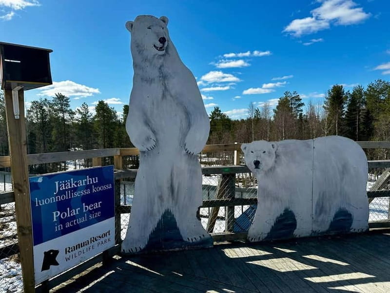 Rovaniemi: Full-Day Tour to Lapland's Best Attractions - Who Will Love This Tour?