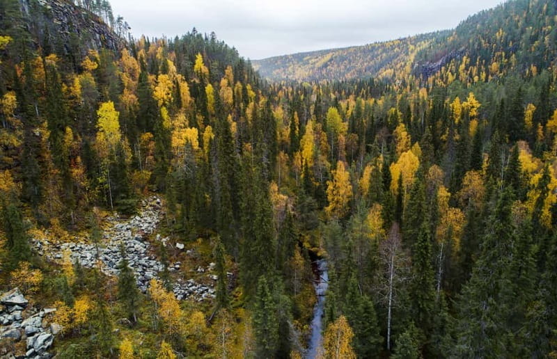 Rovaniemi: Full-Day Tour to Lapland's Best Attractions - Final Thoughts