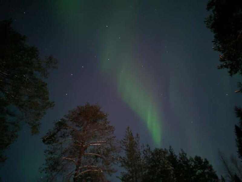 Rovaniemi: Guaranteed Northern Lights Magic Adventure - Who Should Consider This Tour?