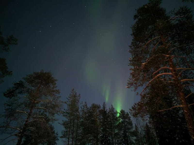 Rovaniemi: Guaranteed Northern Lights Magic Adventure - Summary: Is the Guaranteed Northern Lights Tour in Rovaniemi Worth It?