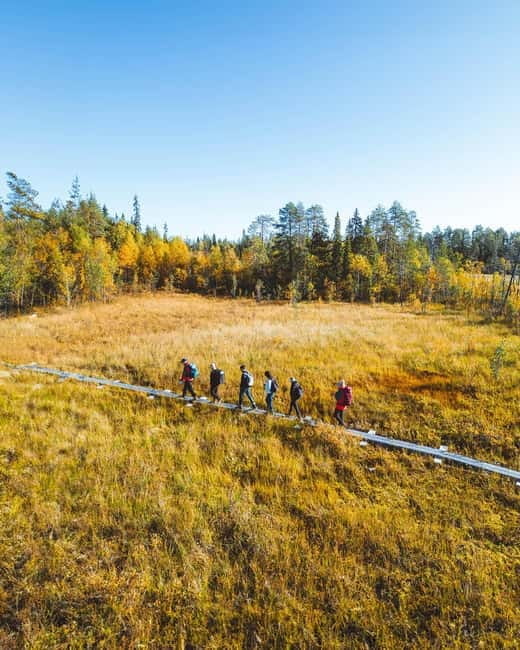 Rovaniemi: Guided tour in Arctic Circle Trekking area - Discovering the Arctic Wilderness at a Gentle Pace
