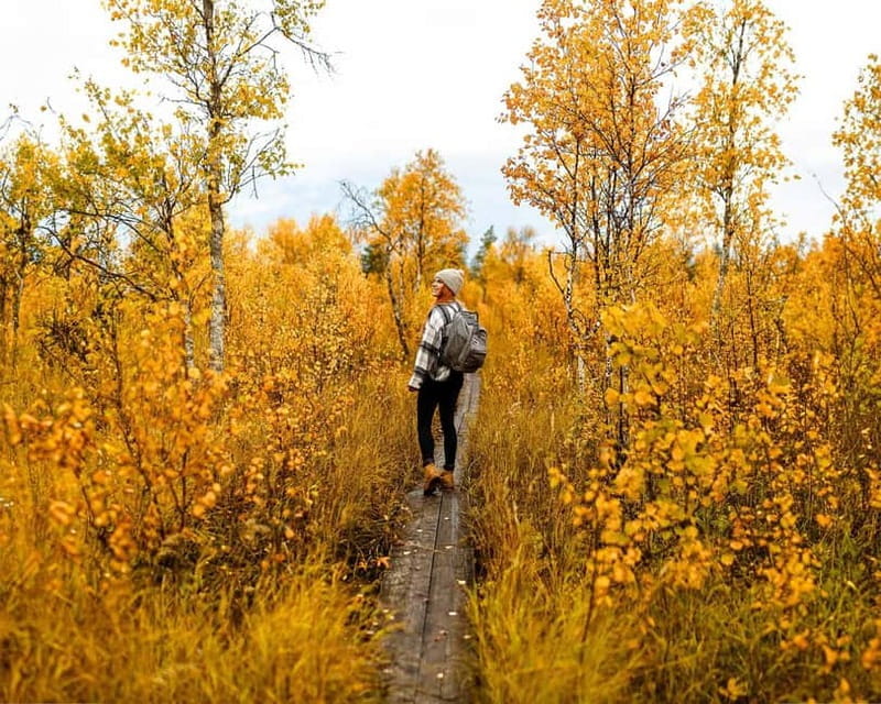 Rovaniemi: Guided tour in Arctic Circle Trekking area - The Sum Up: A Quiet, Authentic Arctic Escape
