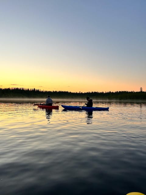 Rovaniemi: Guided Wilderness Kayaking Adventure - Who Will Love This Experience?
