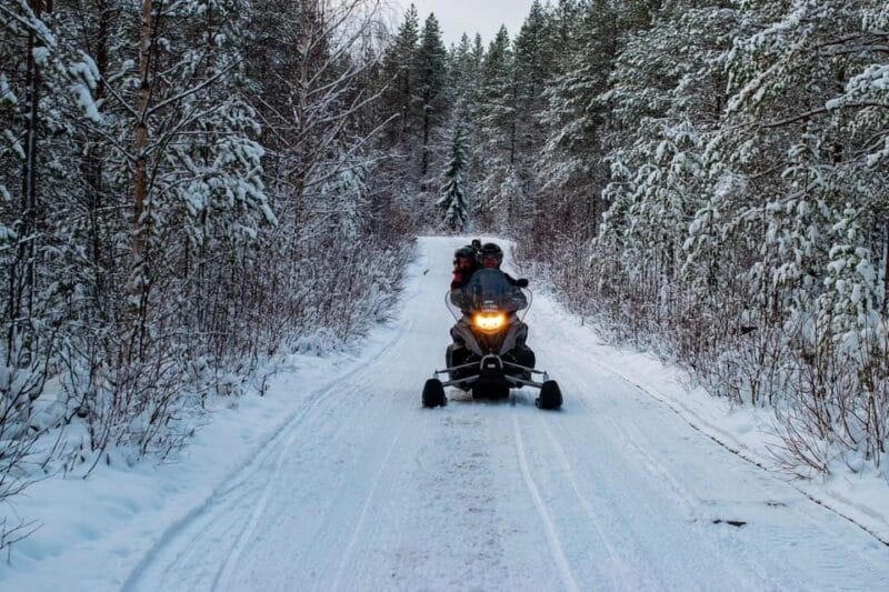 Rovaniemi: Guided Wilderness Snowmobile Safari & Barbeque - Key points / Takeaways