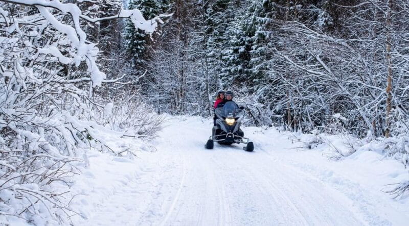 Rovaniemi: Guided Wilderness Snowmobile Safari & Barbeque - Exploring the Wilderness Snowmobile Safari in Rovaniemi