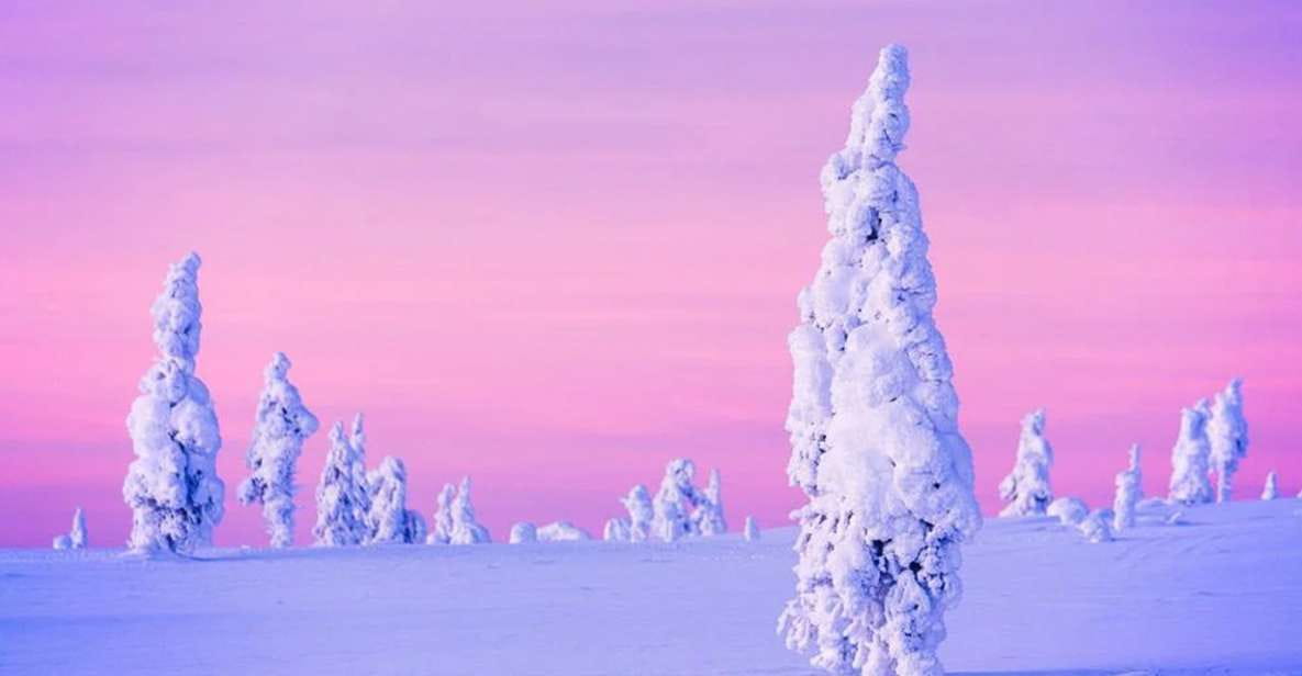 Rovaniemi: Half-Day Snowmobile & Ice Fishing Experience - Frequently Asked Questions