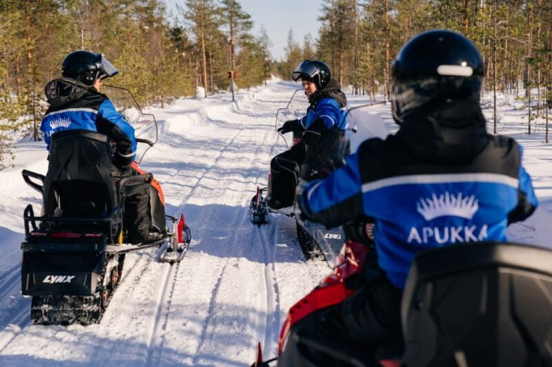 Rovaniemi: Half-Day Snowmobile Tour - Who This Tour Is Perfect For