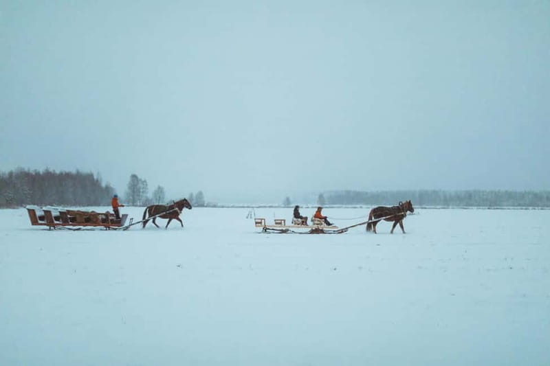 Rovaniemi: Horse Sleigh Ride under the Night Sky - FAQ