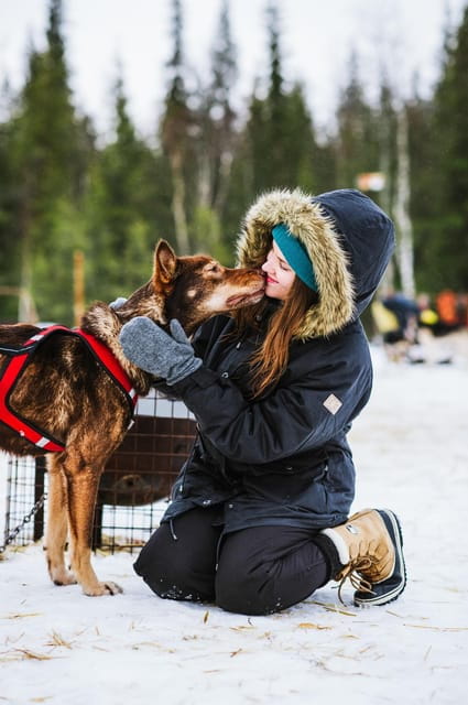 Rovaniemi: Husky and Reindeer farm with sleigh ride - FAQ for the Rovaniemi Husky and Reindeer Experience
