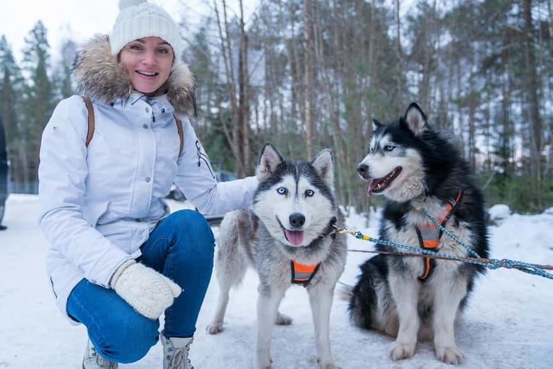 Rovaniemi: Husky Farm and Reindeer Experience - Key points / Takeaways