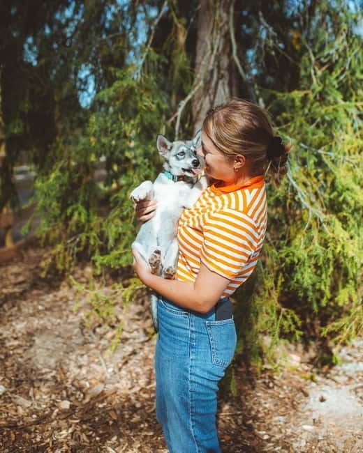 Rovaniemi: Husky Farm Visit - The Husky Farm Experience: What to Expect and Why It Matters