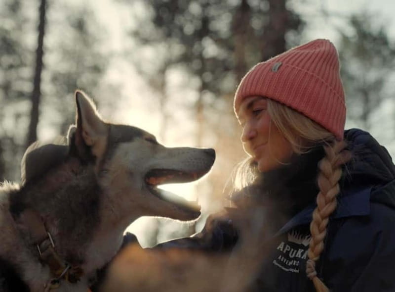 Rovaniemi: Husky Farm Visit - Price and Logistics: Good Value for a Quick Encounter